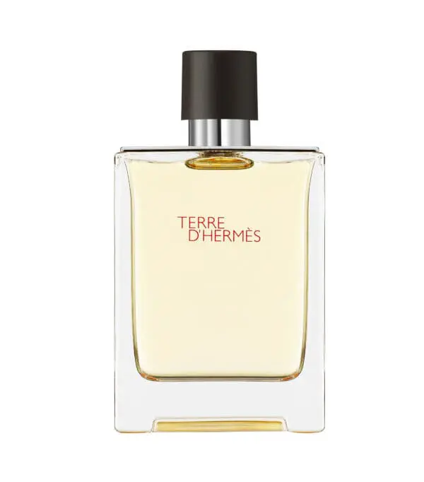 Perfume, Terre d'Hermès Eau de Toilette, 100 ml Hombre