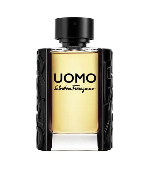 Perfume, Ferragamo Uomo Eau de Toilette, 100 ml Hombre