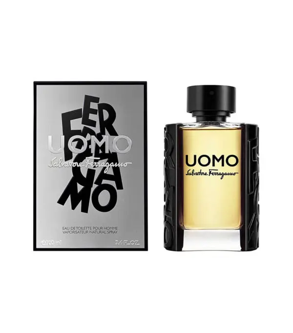Perfume, Ferragamo Uomo Eau de Toilette, 100 ml Hombre - Imagen 2