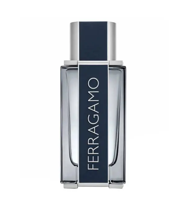Perfume, Ferragamo Eau de Toilette, 100 ml Hombre