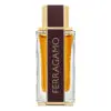 Ferragamo Spicy Leather Parfum 100 ml para Hombre