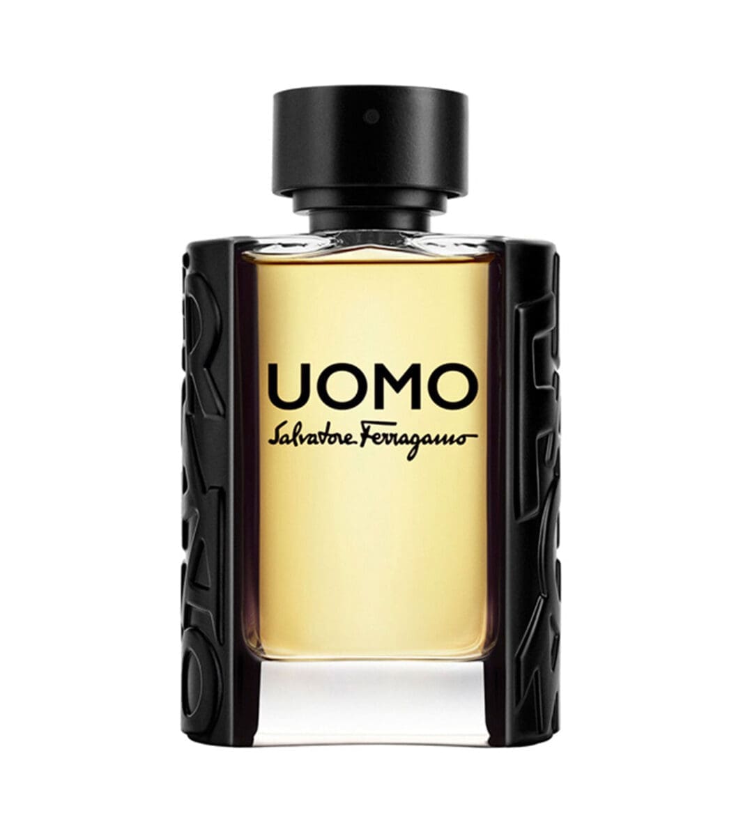 Perfume, Ferragamo Uomo Eau de Toilette, 100 ml Hombre