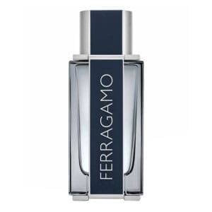 Perfume, Ferragamo Eau de Toilette, 100 ml Hombre