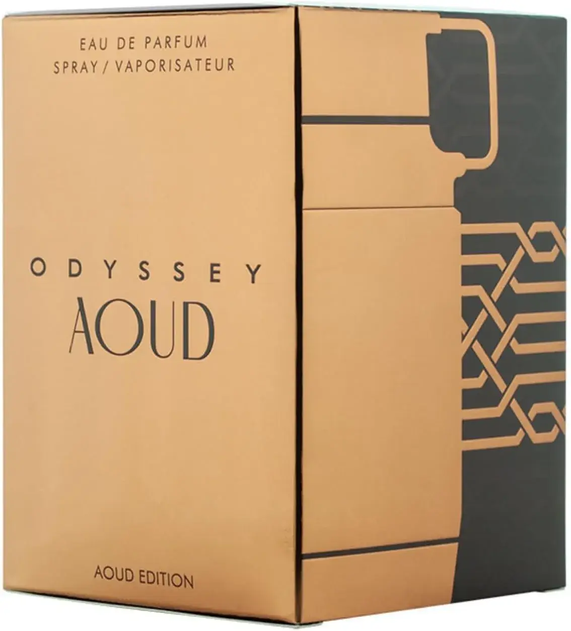 Perfume Armaf Odyssey Aoud Eau de Parfum 100 ml