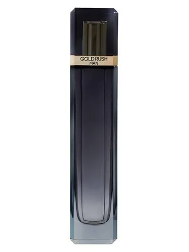 Perfume Tester Paris Hilton Gold Rush Man 100 ml